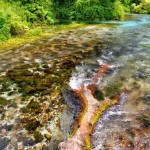 Clear Water of the Blue Eye Spring – 2014, Albania